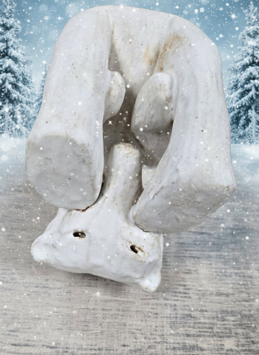 Fliptock Tumblesnoot